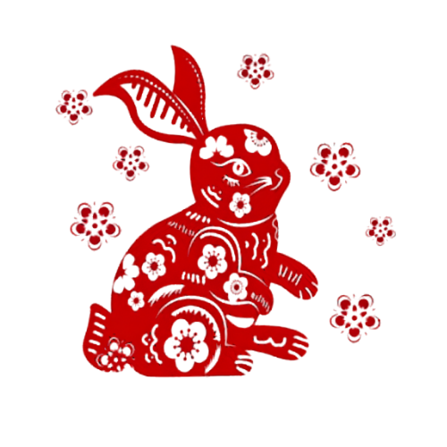 KELINCI